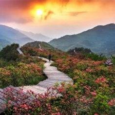 长沙到黄山怎么去相关长尾关键词有哪些