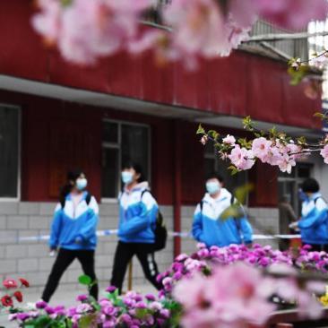兰州市市级高中学校排名？