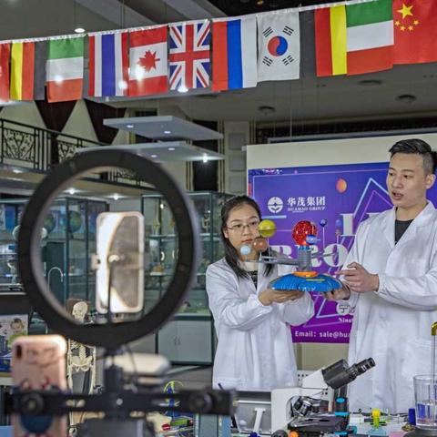 宁波华茂幼儿园招聘的相关长尾关键词有哪些