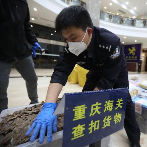 合肥入境要求相关长尾关键词有哪些