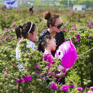 菏泽市到邹城市多少公里