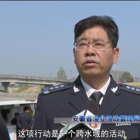 合肥市汽车总站在哪个区