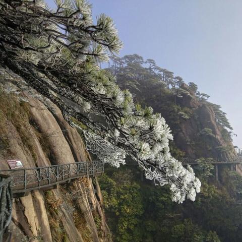 三清山24小天气预报的长尾关键词有什么