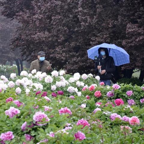 菏泽市到日本多少公里