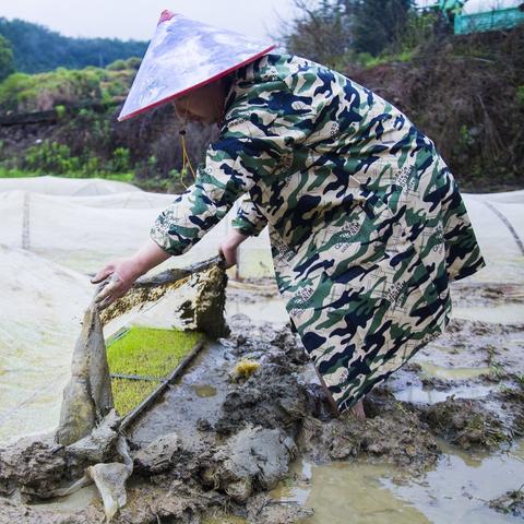 福建山区适合种植什么