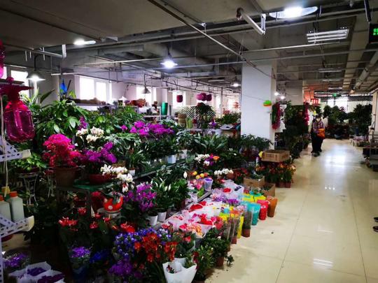 疫情下的鲜花市场：2000余亩鲜切花烂于田地线上鲜花电商生意火爆