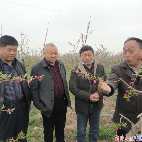河南省考退伍士兵的相关长尾关键词有哪些