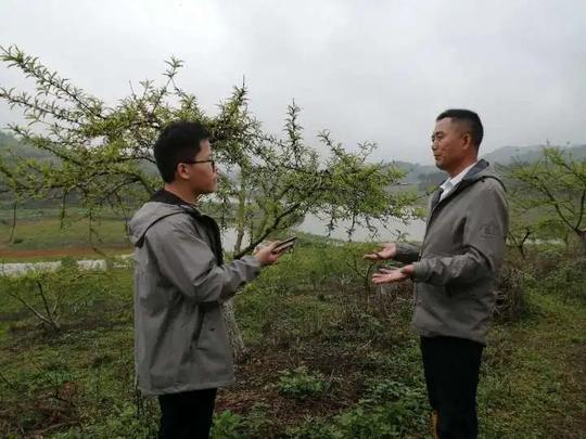 这个老板有点怪，进清远村子不做生意先修路