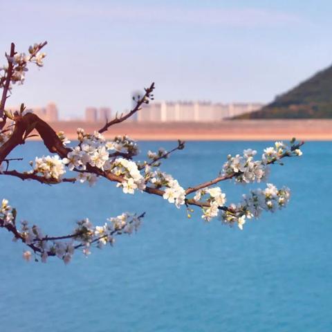 南宁市英雄水库在哪个村