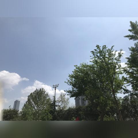 山东2号的天气怎么样