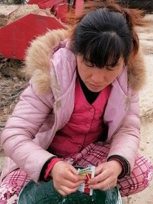 谢家集区|朱道珍：回乡创业哺家乡春耕生产助脱贫