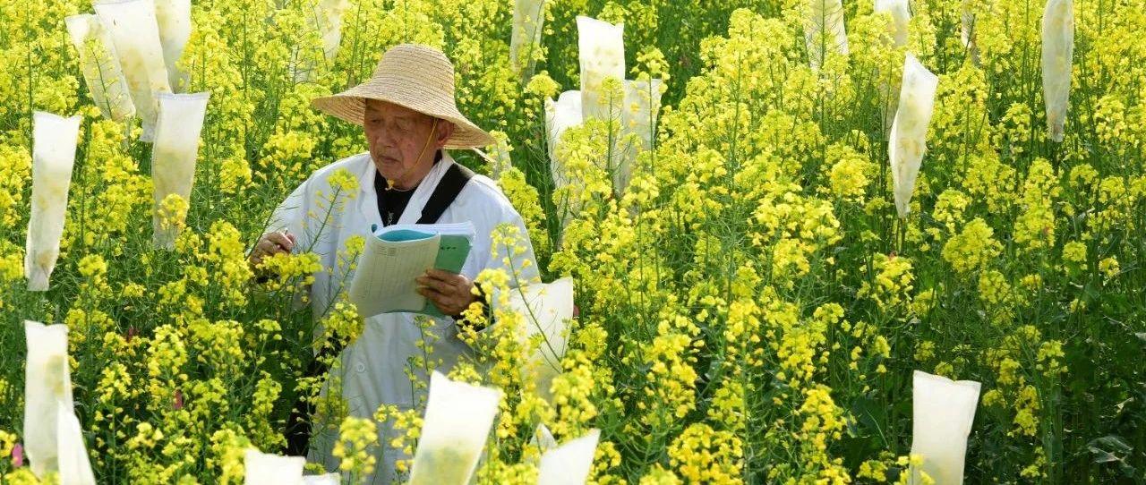 产经评论会计实践论文中文核心期刊有哪些