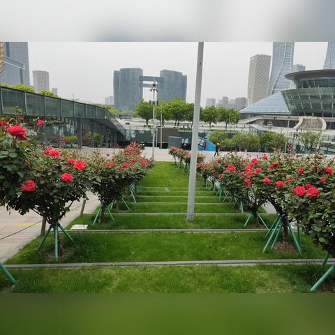 杭州市哪个小区大阳台