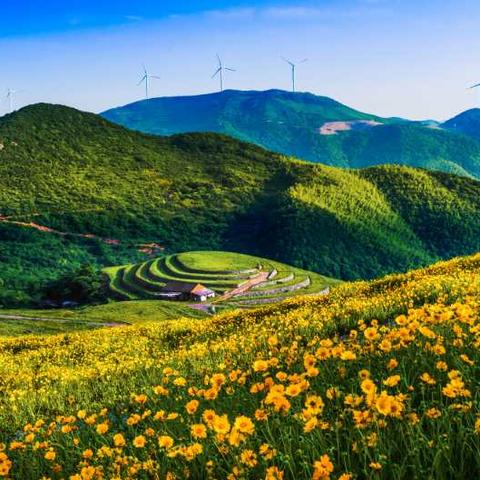 宁波市东钱湖镇在哪个区