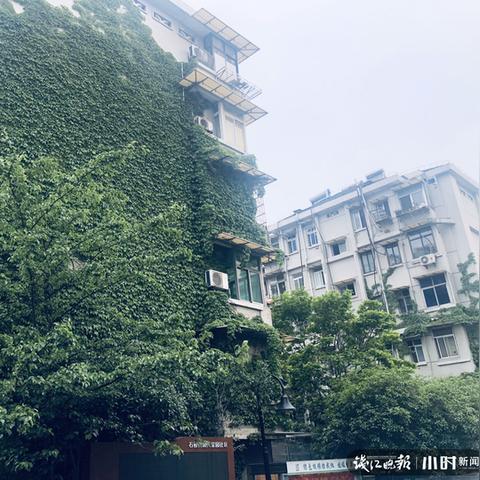 杭州市居民是什么