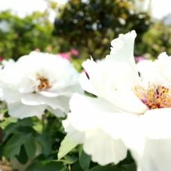 临沂市各县人均经济排名的长尾关键词有什么