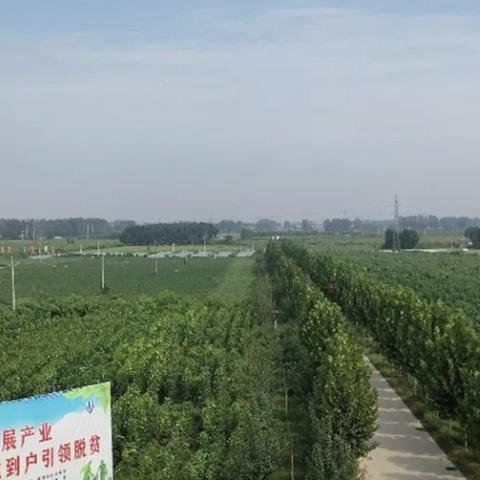 河南农业规划怎么样