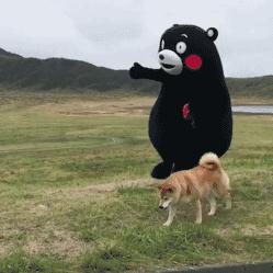 合肥市泉塘村在哪个街道