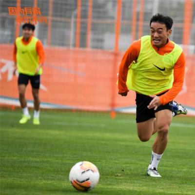 武汉市混播什么草坪