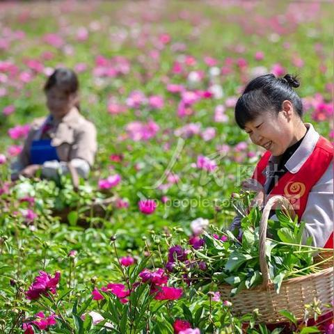 杭州市是哪个省管的