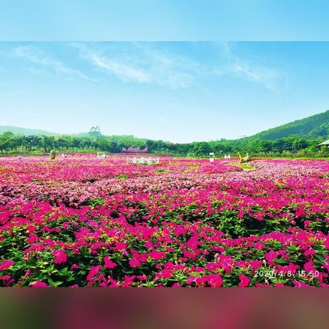南宁市玻璃桥在哪个区