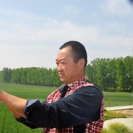 菏泽市散养鸡价格的长尾关键词有什么