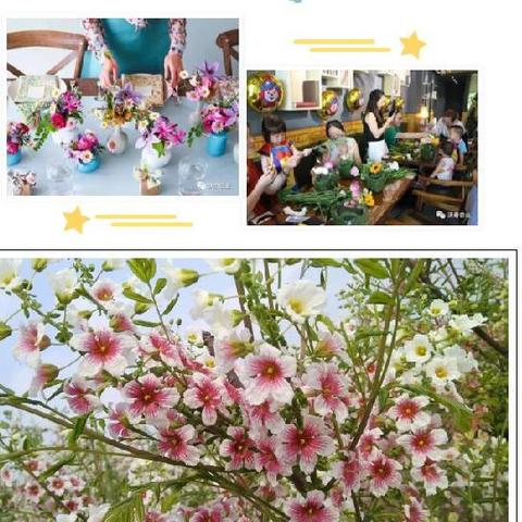 潍坊市茶艺比赛的长尾关键词有什么