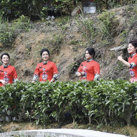 深圳市中安公司怎么样
