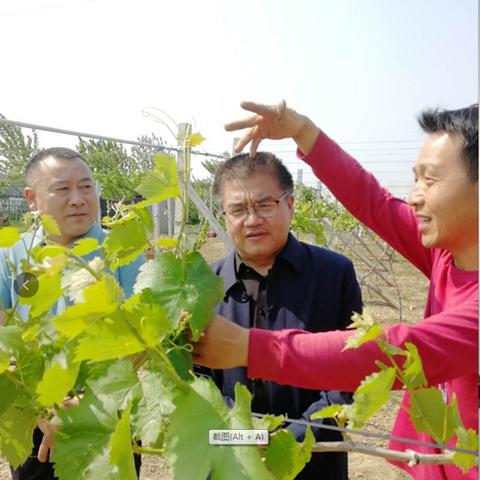 江苏苏州常熟民办高中的长尾关键词有哪些