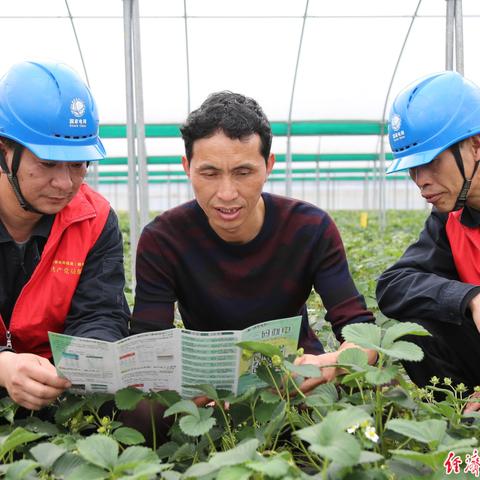 福建恒温仓储物流费用的相关长尾关键词有哪些