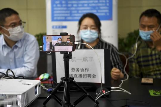 返乡创业园、网络直播招聘会……就业帮扶，余杭一直在路上！