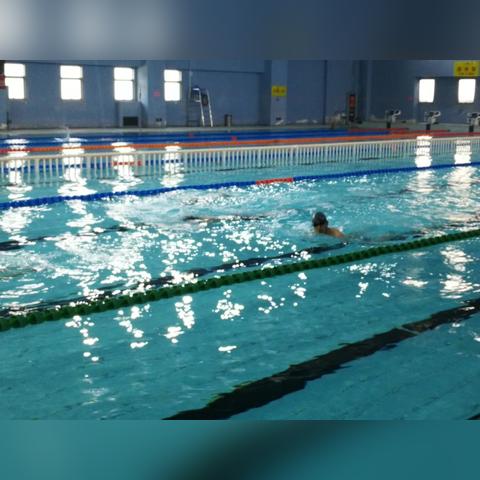 兰州体育公园泳池长度的相关长尾关键词有哪些