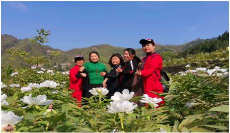 广元朝天区：深山村的致富新“花”样