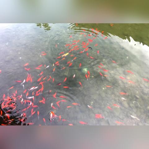 济南腊山诗相关长尾关键词有哪些