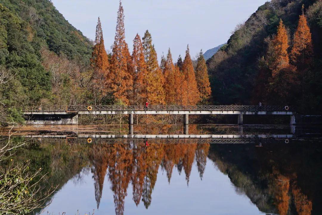 潮汕什么美食最出名（福建十大名小吃有哪些）