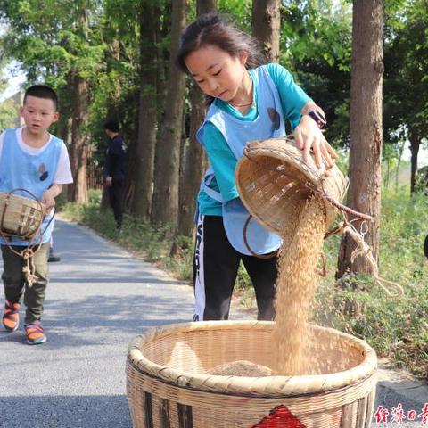 成都市内插秧地点有哪些