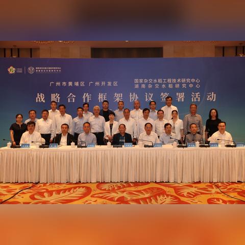 广州市落户的政策是什么