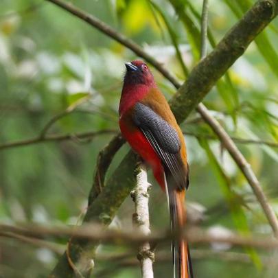浙江省温州市前横六路的长尾关键词有哪些