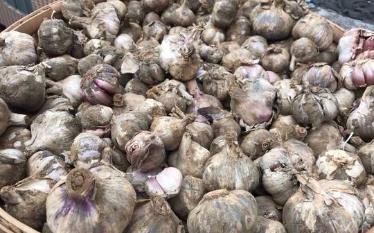 大蒜价格连续四周下跌今年的“蒜盘”挺难打