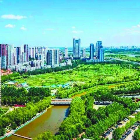 哈尔滨市新区是哪里