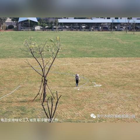 南宁市相思湖公园怎么去