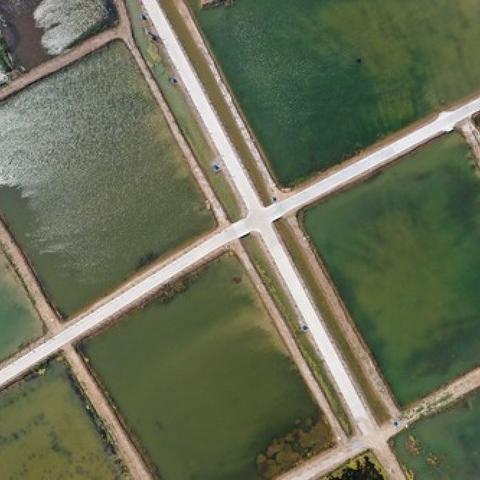 范县属河南哪个市