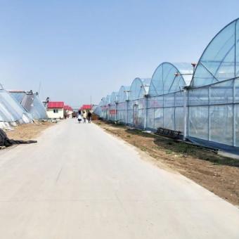 潍坊市职工发多少高温费