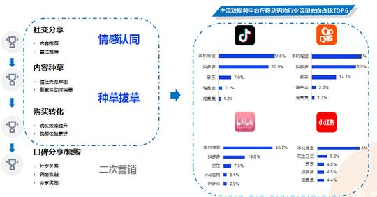 “短视频种草+直播电商”营销手册，打造品牌全链路视频营销