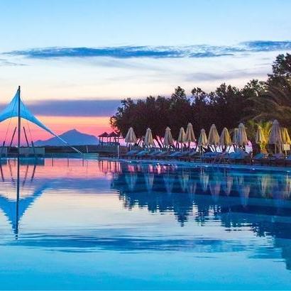 广东东莞市哪里有卖鸟的