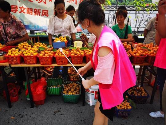 手机成为新“农具”一起去罗店山下曹村“嗨枇”