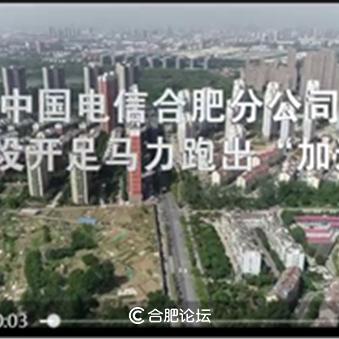 合肥市中国电信卡号多少