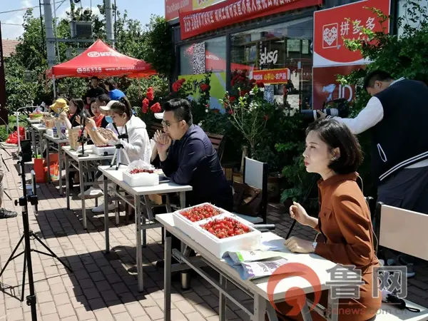 chatgpt熵云(熵云chatgpt)