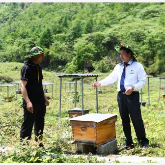 重庆助力怎么样