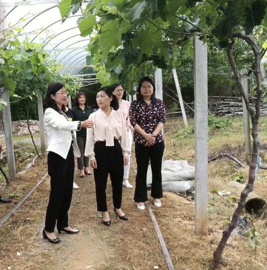 宜秀区妇联赴桐城考察交流巾帼创业就业项目工作